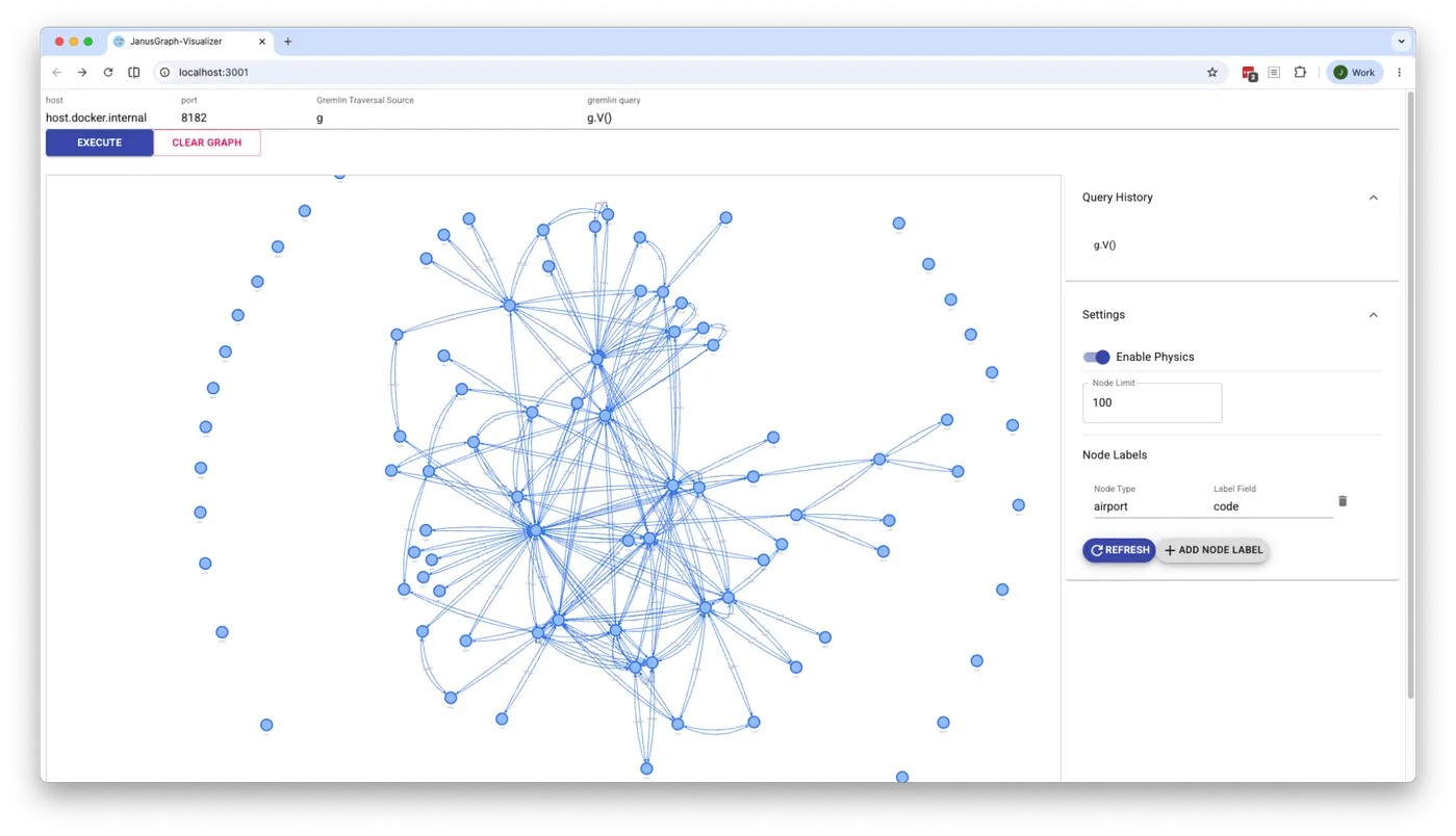 An initial JanusGraph Visualizer view.