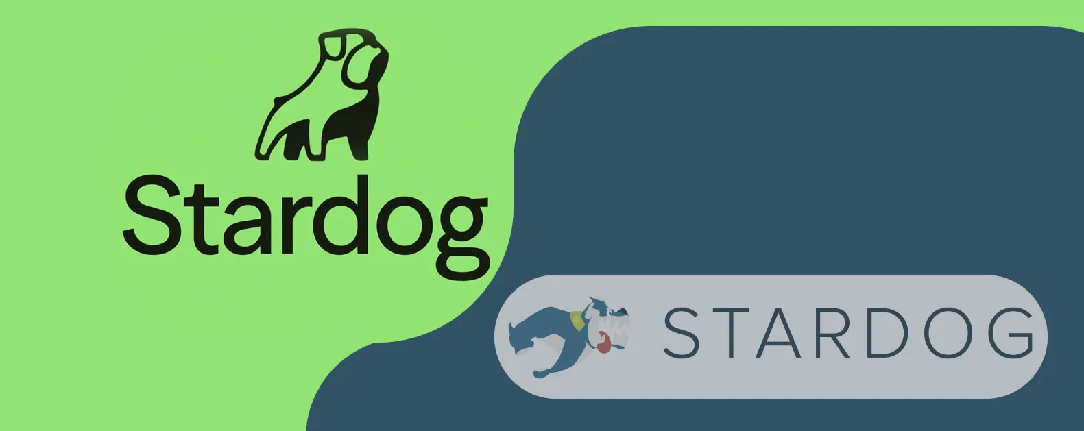 Stardog has changed its logo and branding in line with its new LLM-first strategy.