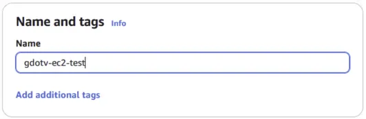 Name your new EC2 instance.
