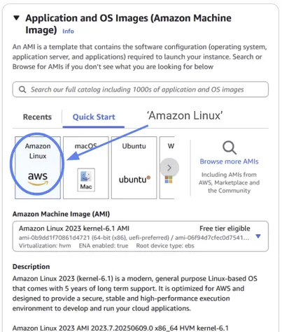 The EC2 launch form’s operating system list, with Amazon Linux selected
