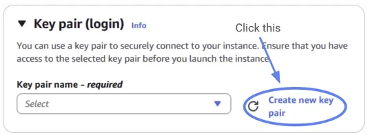 You should create a new key pair.