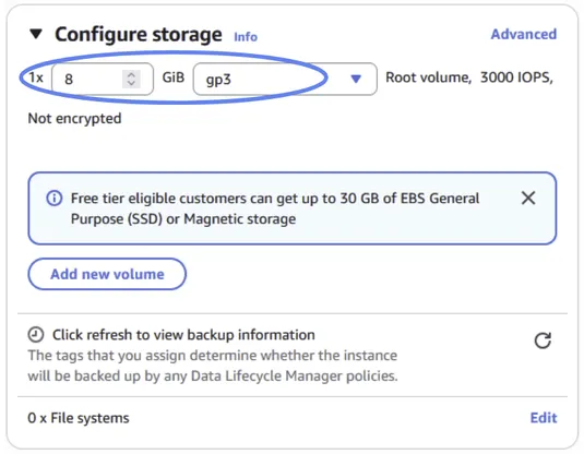 Configure your storage to 8GB.