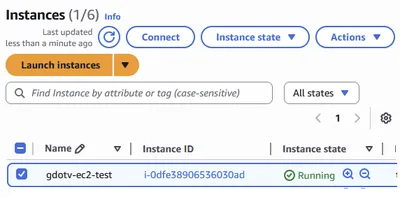 Your new EC2 instance should be visible from your Amazon EC2 console.