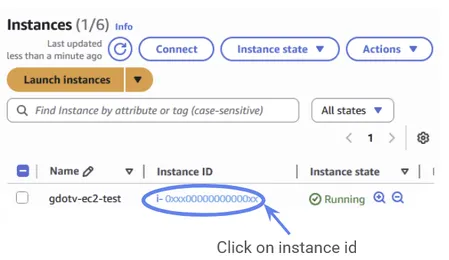 We want to examine our EC2 instance, so you should click on the instance id.