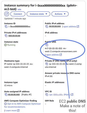 Once on the instance page, make a note of the public DNS for the EC2 public endpoint. We will use it later.