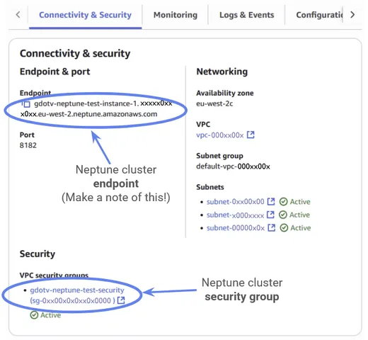 The Neptune Connectivity and Security tab, showing the cluster endpoint and a link to its security group