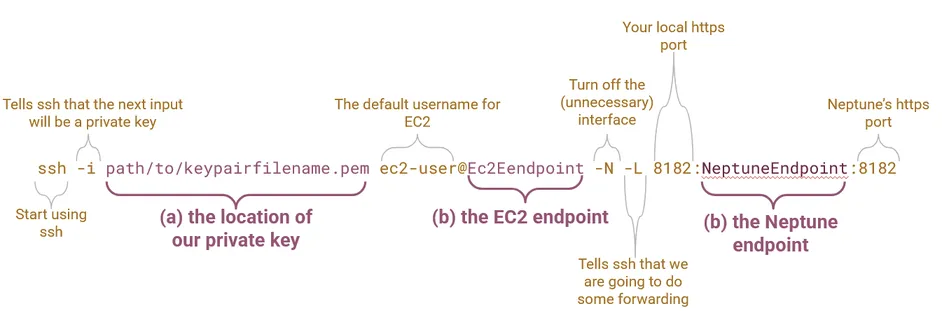The anatomy of the ssh command.