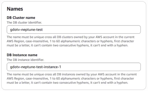 Name your Amazon Neptune instance.
