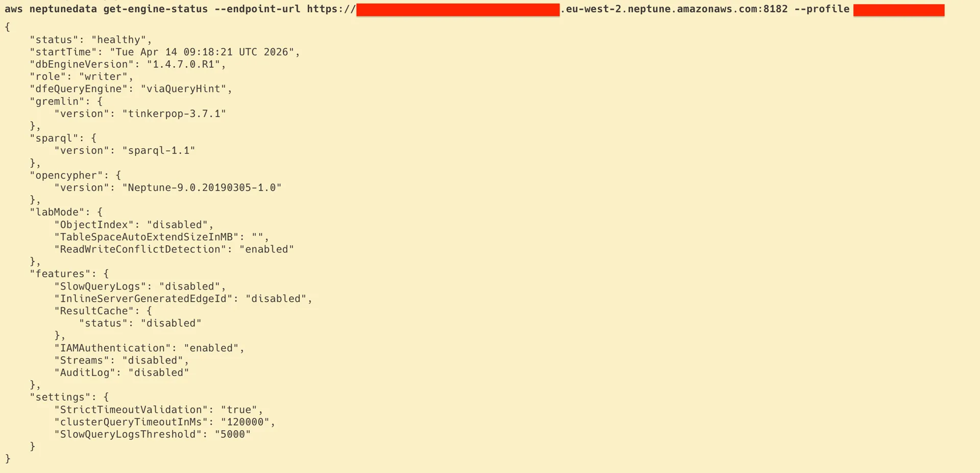 Aws neptune engine status healthy iam auth