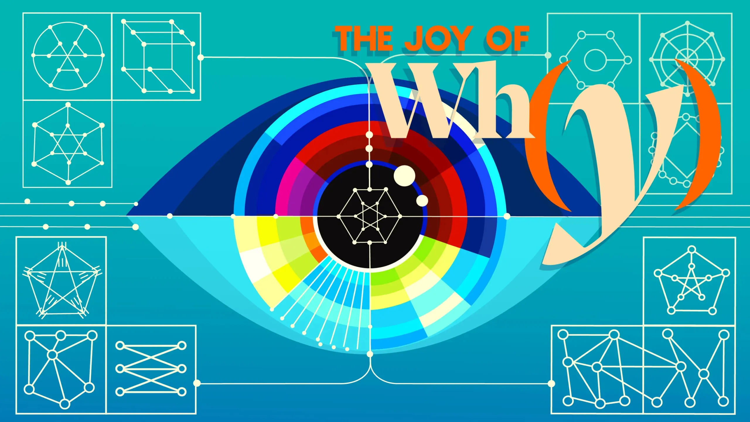 Interview: The joy of wh(y)