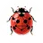 LadybugDB logo