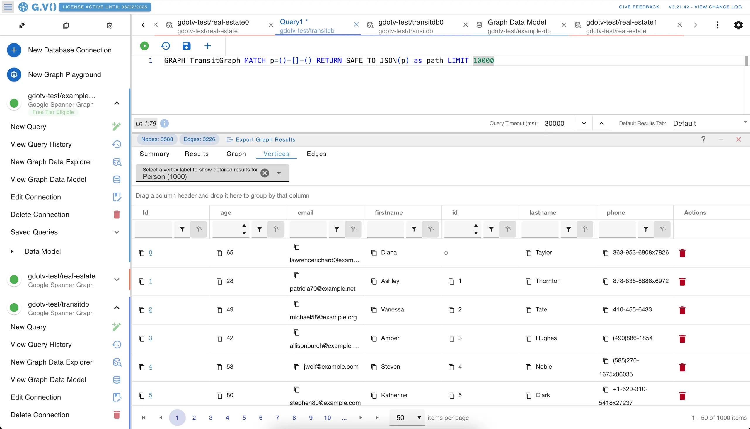 Vertices table view of Google Cloud Spanner Graph data