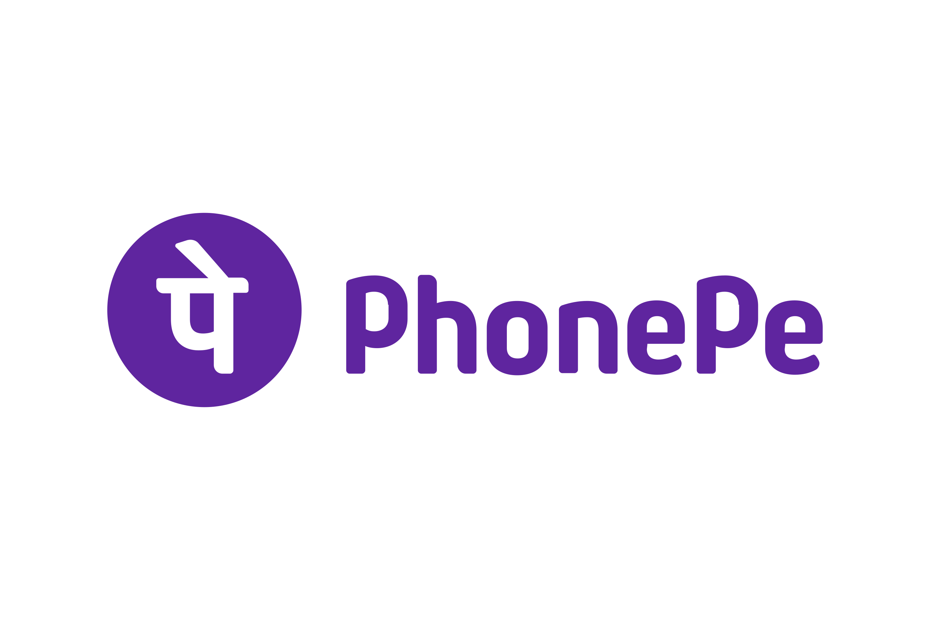 PhonePe Logo