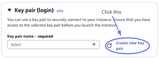You should create a new key pair.