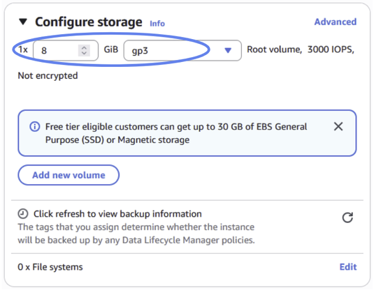 Configure your storage to 8GB.