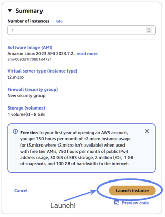 You are now ready to launch your EC2 instance.