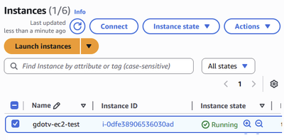 Your new EC2 instance should be visible from your Amazon EC2 console.