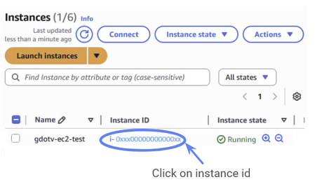 We want to examine our EC2 instance, so you should click on the instance id.