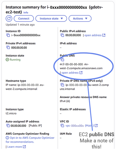 Once on the instance page, make a note of the public DNS for the EC2 public endpoint. We will use it later.