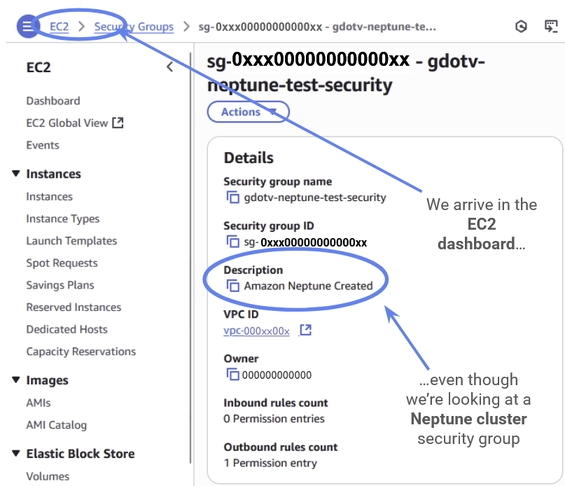 The Neptune security group will open in the EC2 console. This is expected. Security groups are always managed by the EC2 console, even when used by other Amazon Web Services.