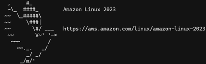 A welcome message indicating successful connection to the EC2 instance over ssh.