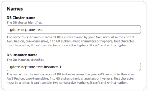 Name your Amazon Neptune instance.