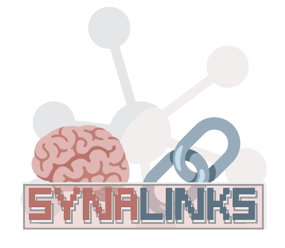 From raw data to a knowledge graph with SynaLinks From raw data to a knowledge graph with SynaLinks