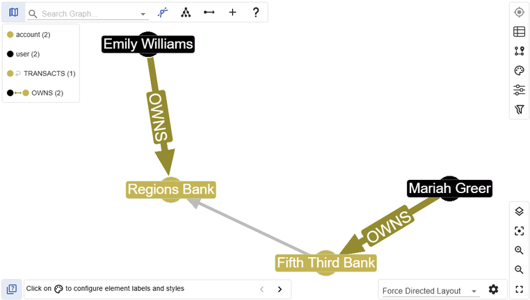 Our potentially fraudulent transaction visualized in G.V()