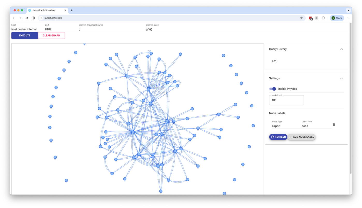 An initial JanusGraph Visualizer view.