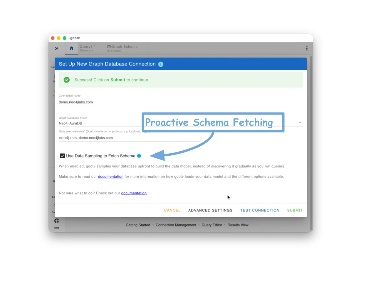 Enable Use Data Sampling to Fetch Schema to build the gdotv data model up front on connection